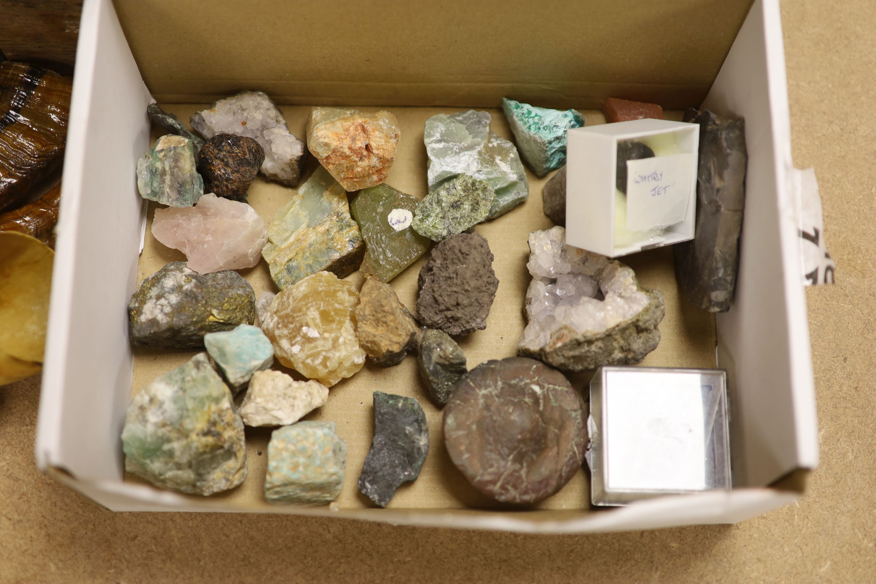 A collection of assorted minerals, geodes etc